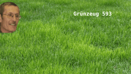 GRÜNZEUG-593